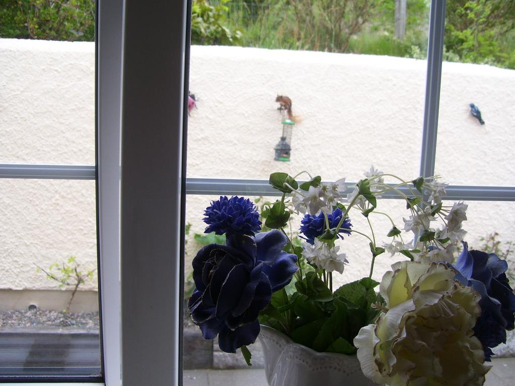 Lurig View B&B Glenariffe Eksteriør billede